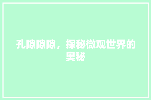 孔隙隙隙，探秘微观世界的奥秘