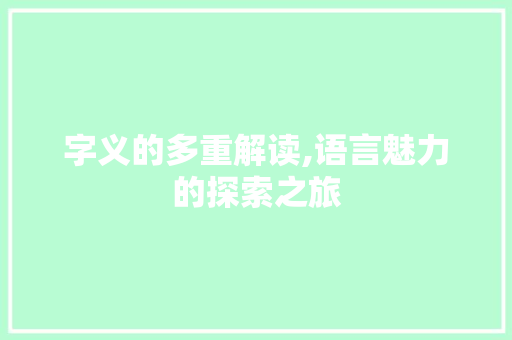 字义的多重解读,语言魅力的探索之旅 职场应用