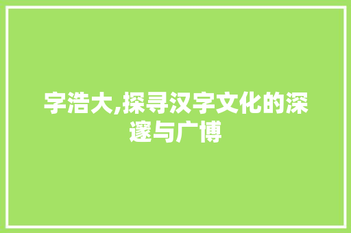 字浩大,探寻汉字文化的深邃与广博