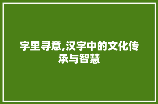 字里寻意,汉字中的文化传承与智慧