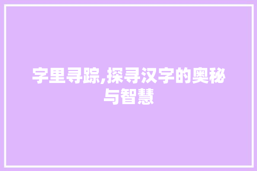 字里寻踪,探寻汉字的奥秘与智慧