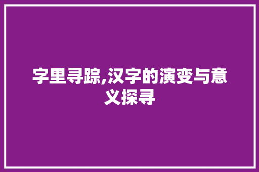 字里寻踪,汉字的演变与意义探寻