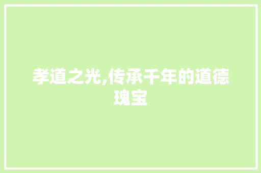 孝道之光,传承千年的道德瑰宝
