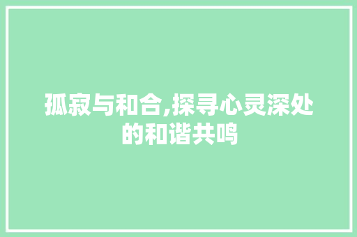 孤寂与和合,探寻心灵深处的和谐共鸣