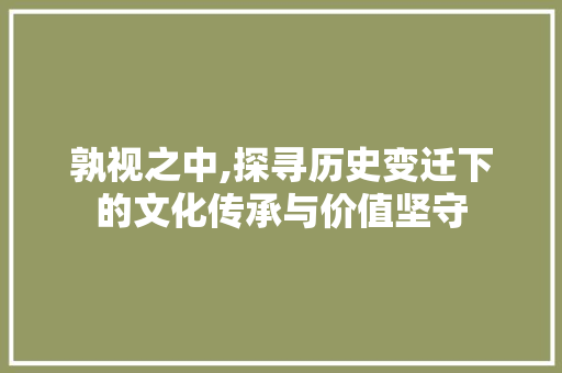 孰视之中,探寻历史变迁下的文化传承与价值坚守 商业计划书范文