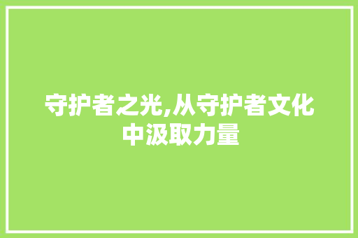 守护者之光,从守护者文化中汲取力量