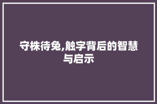 守株待兔,触字背后的智慧与启示 商业计划书范文