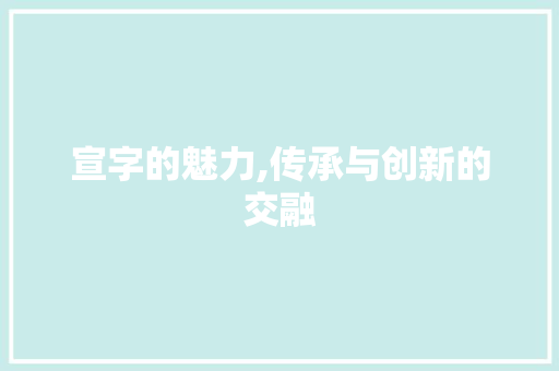 宣字的魅力,传承与创新的交融