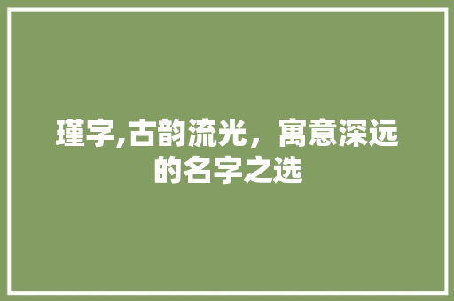 瑾字,古韵流光，寓意深远的名字之选 商业计划书范文