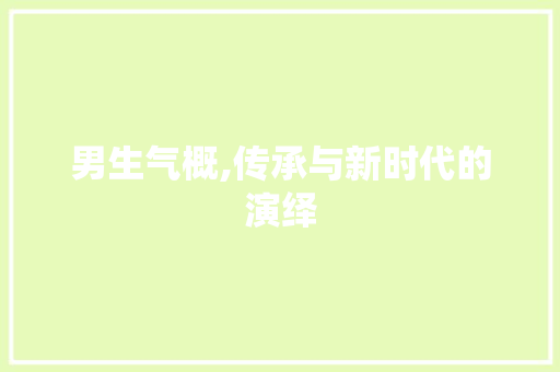 男生气概,传承与新时代的演绎 商业计划书范文