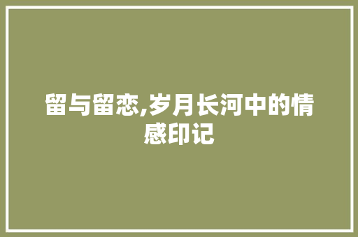 留与留恋,岁月长河中的情感印记 范文资源