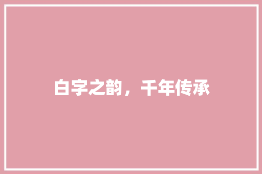 白字之韵，千年传承