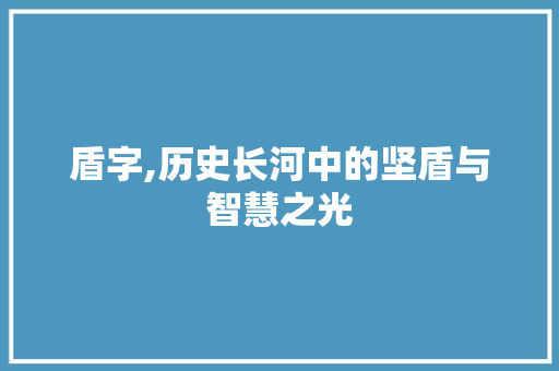 盾字,历史长河中的坚盾与智慧之光