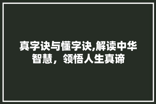 真字诀与懂字诀,解读中华智慧，领悟人生真谛