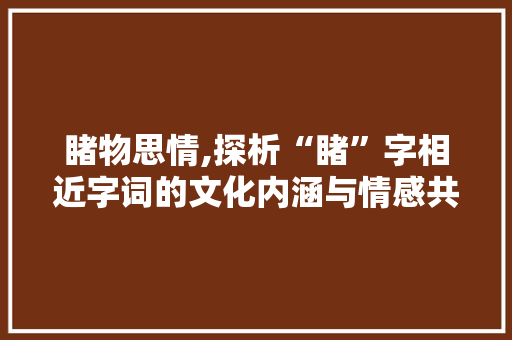 睹物思情,探析“睹”字相近字词的文化内涵与情感共鸣