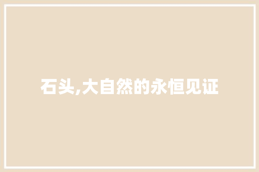 石头,大自然的永恒见证