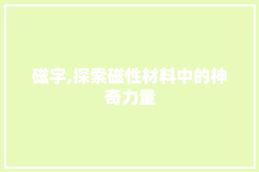 磁字,探索磁性材料中的神奇力量