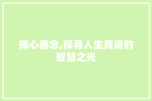 禅心善念,探寻人生真谛的智慧之光