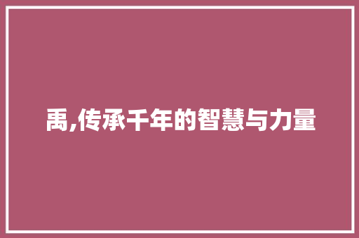 禹,传承千年的智慧与力量