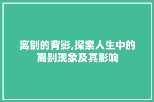 离别的背影,探索人生中的离别现象及其影响