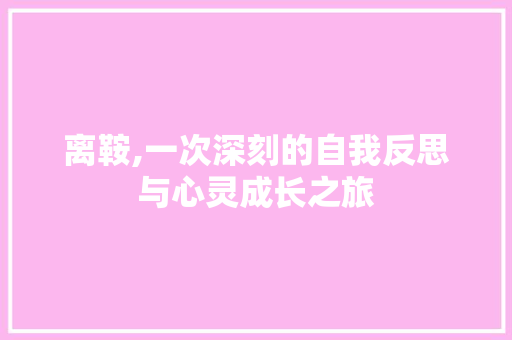 离鞍,一次深刻的自我反思与心灵成长之旅 范文精选网