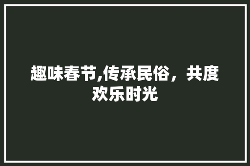 趣味春节,传承民俗，共度欢乐时光