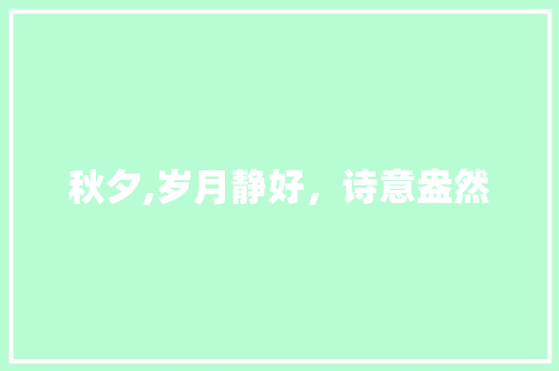 秋夕,岁月静好，诗意盎然 范文宝典