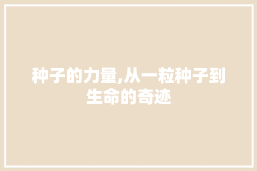 种子的力量,从一粒种子到生命的奇迹