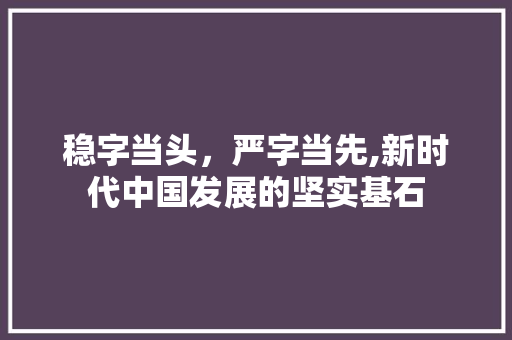 稳字当头，严字当先,新时代中国发展的坚实基石