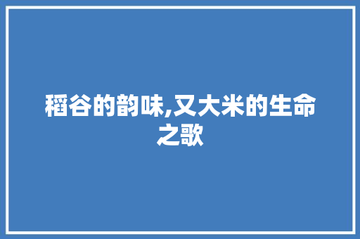 稻谷的韵味,又大米的生命之歌