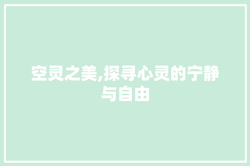 空灵之美,探寻心灵的宁静与自由 职场应用