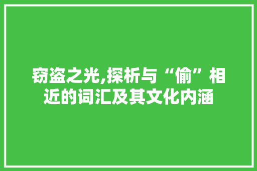 窃盗之光,探析与“偷”相近的词汇及其文化内涵