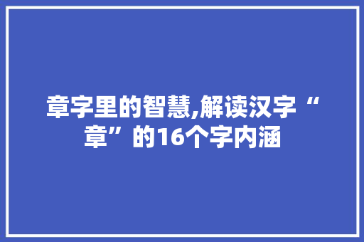 章字里的智慧,解读汉字“章”的16个字内涵 优秀范文
