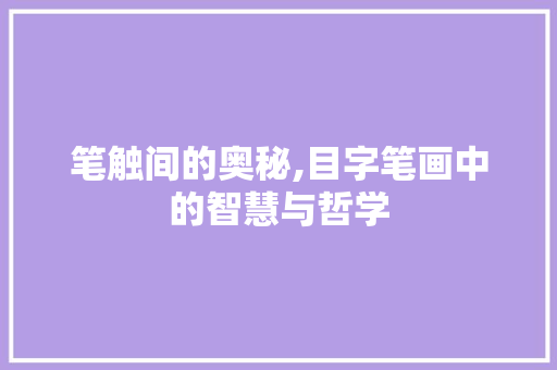 笔触间的奥秘,目字笔画中的智慧与哲学