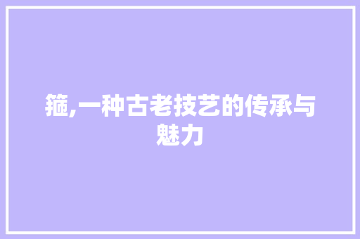 箍,一种古老技艺的传承与魅力 职场应用