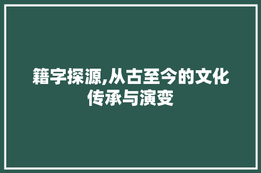 籍字探源,从古至今的文化传承与演变