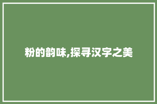 粉的韵味,探寻汉字之美 商业计划书范文