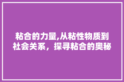 粘合的力量,从粘性物质到社会关系，探寻粘合的奥秘