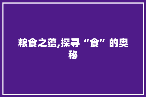 粮食之蕴,探寻“食”的奥秘