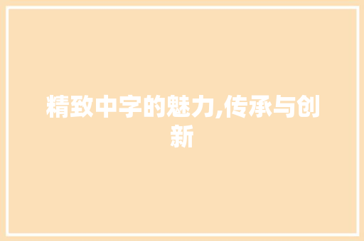 精致中字的魅力,传承与创新