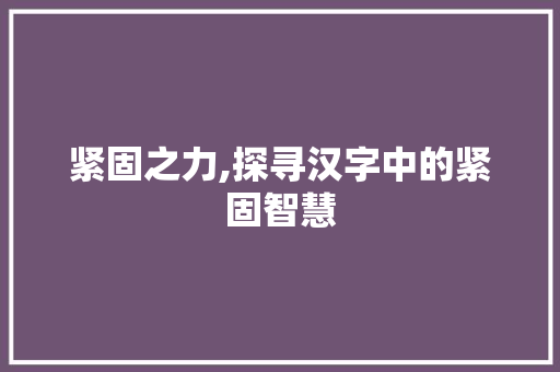 紧固之力,探寻汉字中的紧固智慧