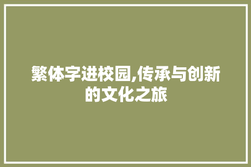 繁体字进校园,传承与创新的文化之旅