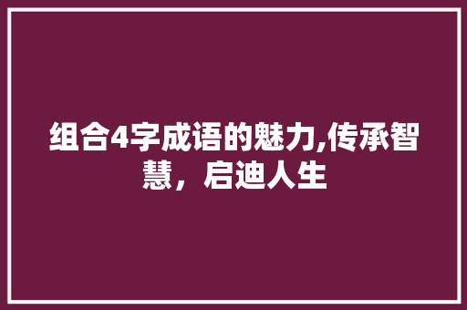 组合4字成语的魅力,传承智慧，启迪人生