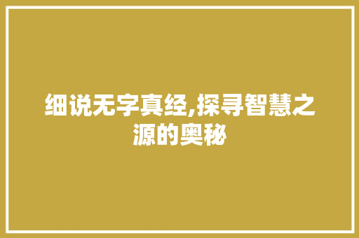 细说无字真经,探寻智慧之源的奥秘