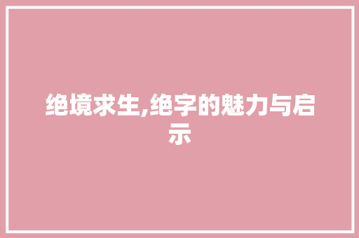 绝境求生,绝字的魅力与启示