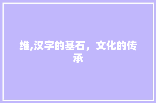维,汉字的基石，文化的传承