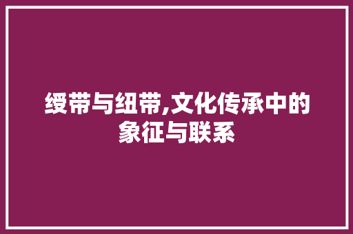 绶带与纽带,文化传承中的象征与联系