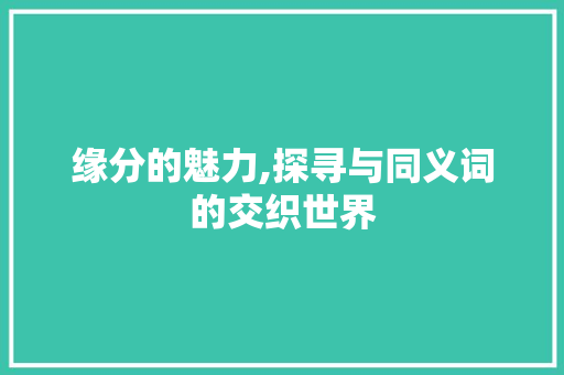 缘分的魅力,探寻与同义词的交织世界