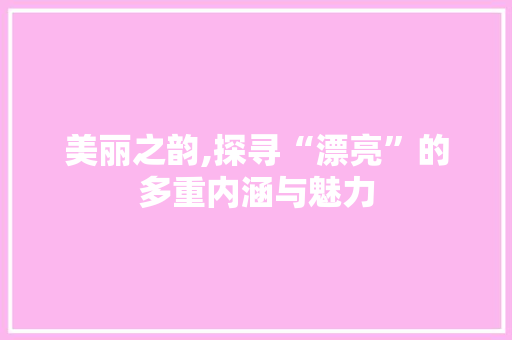 美丽之韵,探寻“漂亮”的多重内涵与魅力