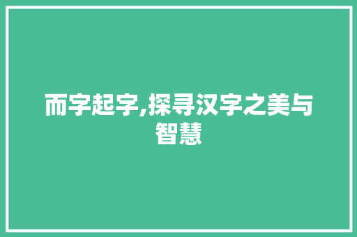 而字起字,探寻汉字之美与智慧